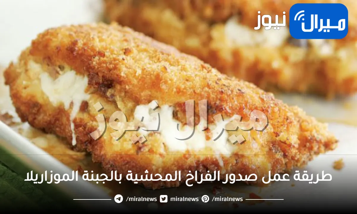طريقة عمل صدور الفراخ المحشية بالجبنة الموزاريلا