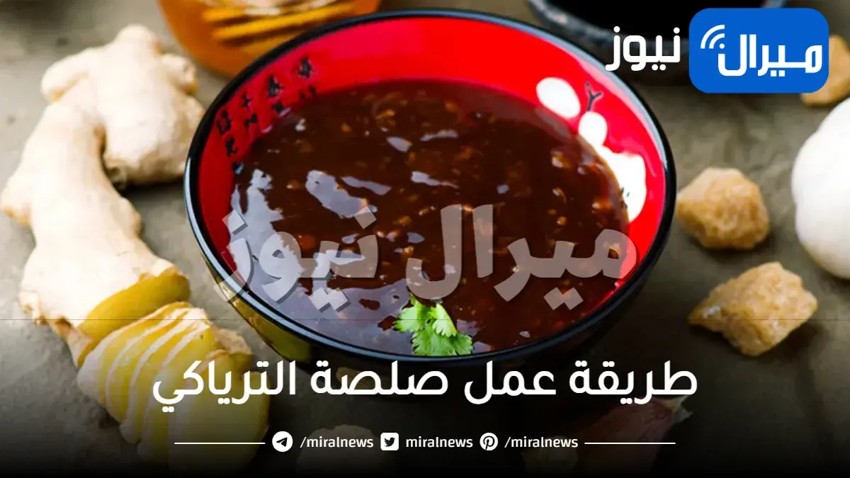طريقة عمل صلصة الترياكي