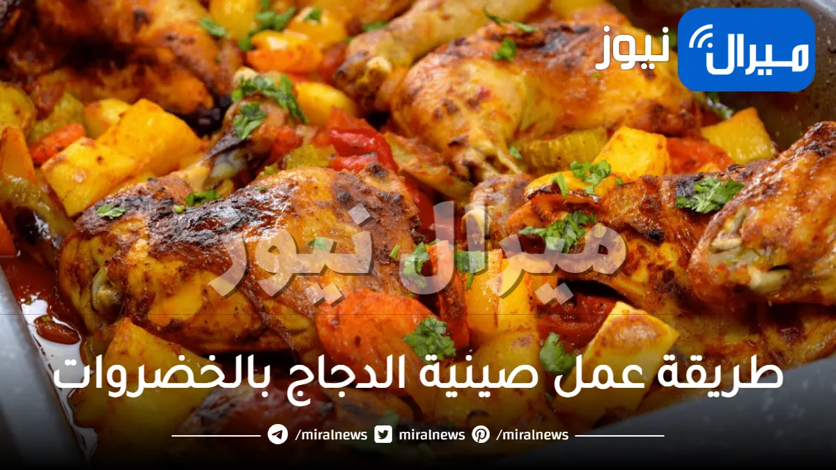 طريقة عمل صينية الدجاج بالخضروات