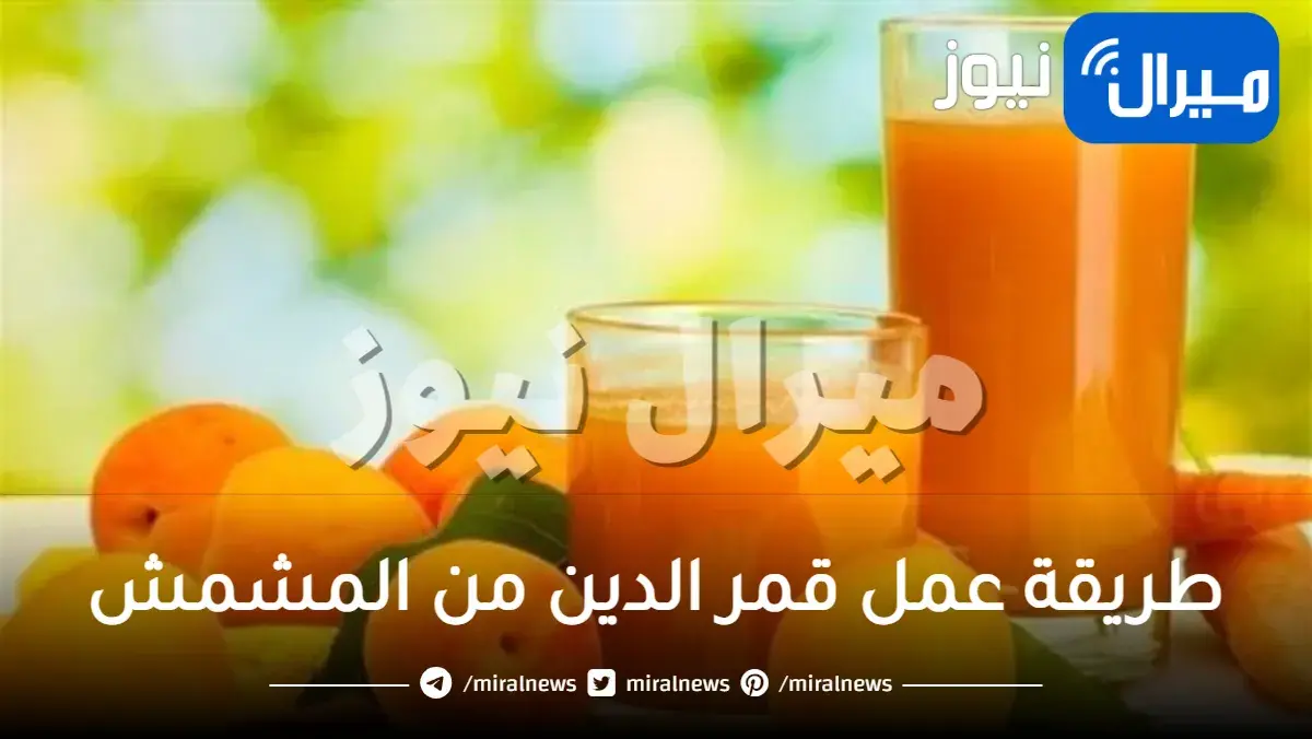 طريقة عمل قمر الدين من المشمش