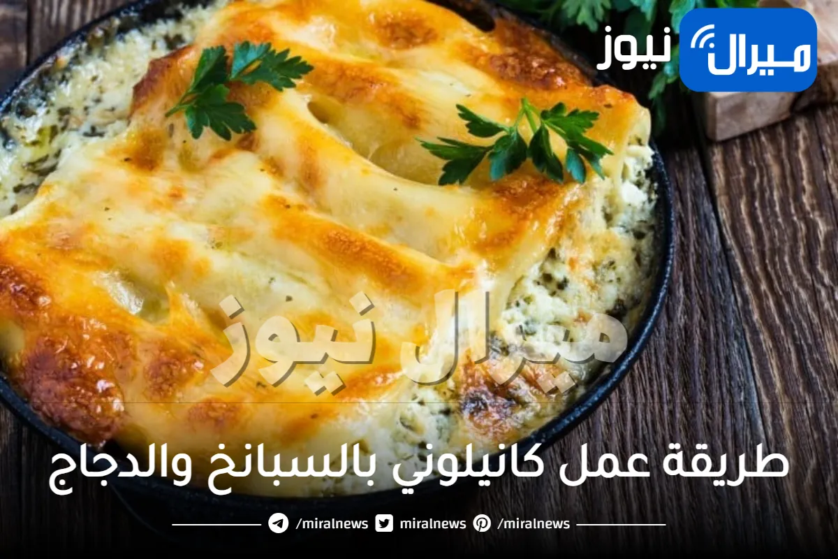 طريقة عمل كانيلوني بالسبانخ والدجاج سهلة جدا واقتصادية