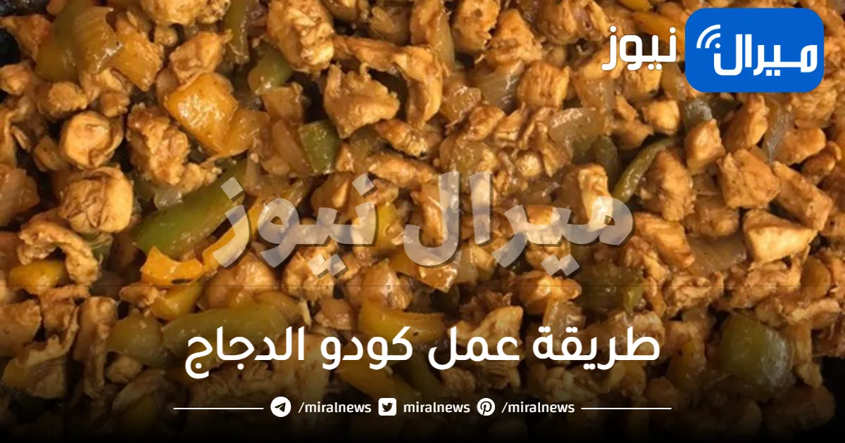 طريقة عمل كودو الدجاج وصفة لا تحتاج سوى نصف ساعة للتحضير