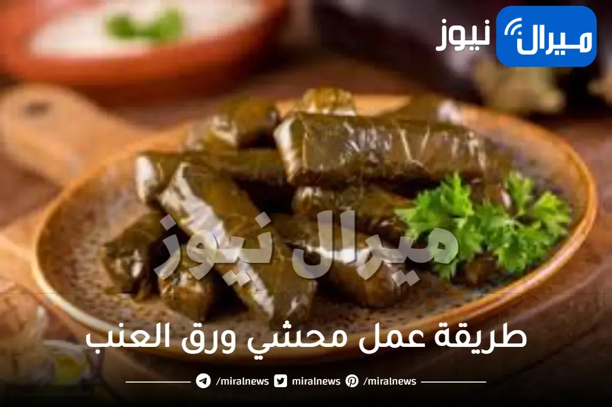 طريقة عمل محشي ورق العنب