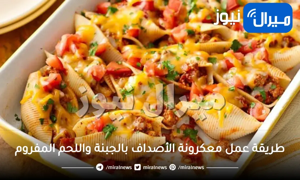 طريقة عمل معكرونة الأصداف بالجبنة واللحم المفروم بالخطوات