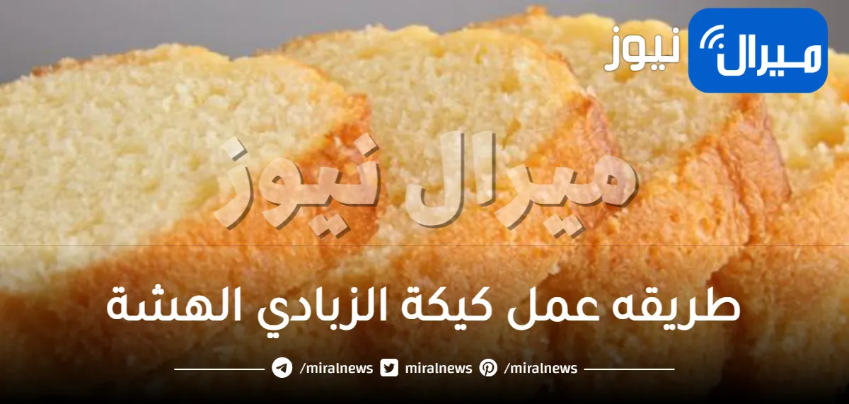 طريقه عمل كيكة الزبادي الهشة بكل سهولة ونصائح مهمة لنجاح الكيكة