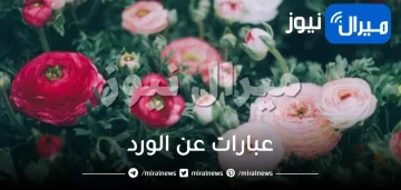 عبارات عن الورد