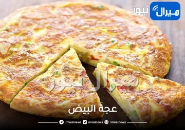 عجة البيض