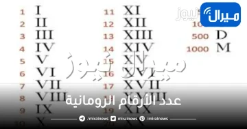 كم عدد الأرقام الرومانية وكيف يتم استخدامها