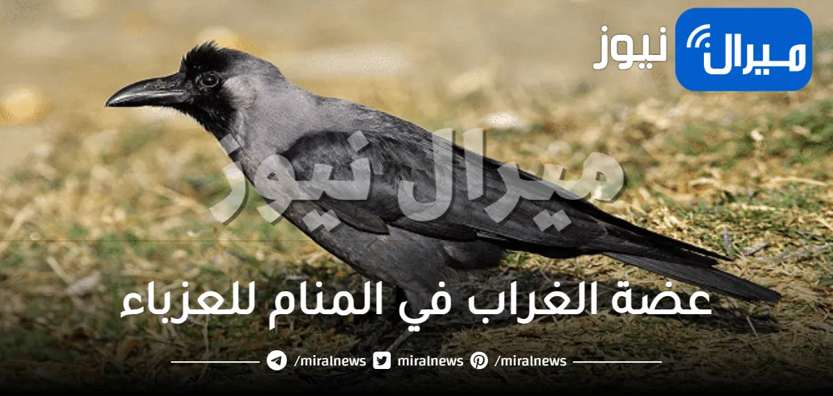 عضة الغراب في المنام للعزباء