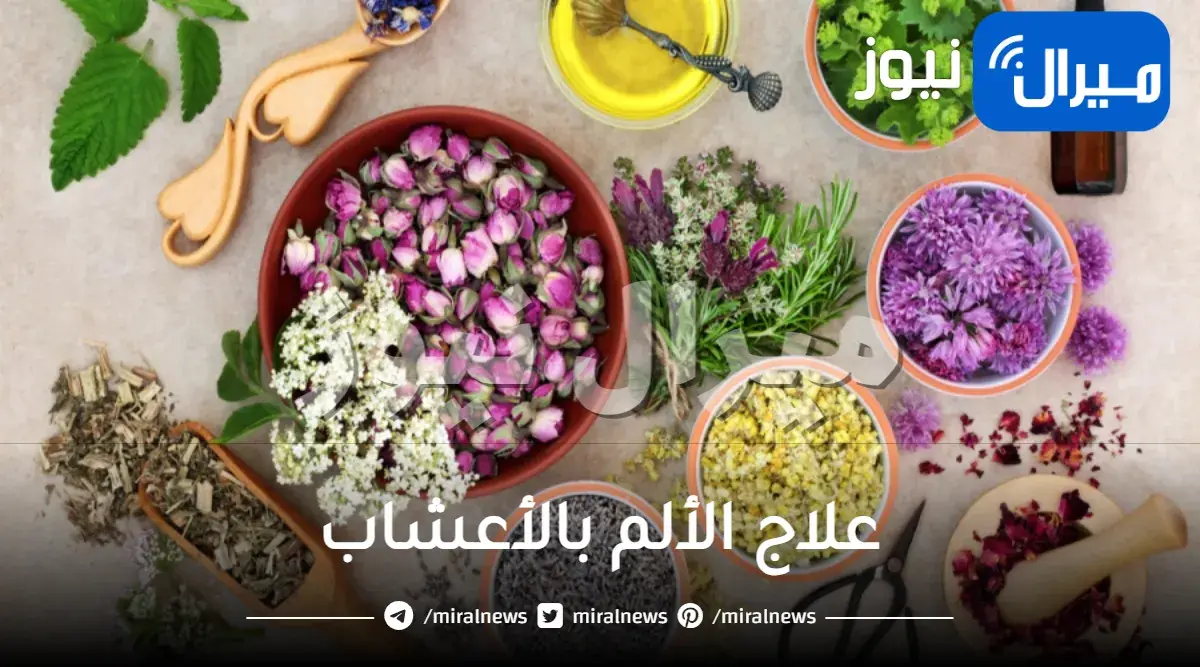 علاج الألم بالأعشاب