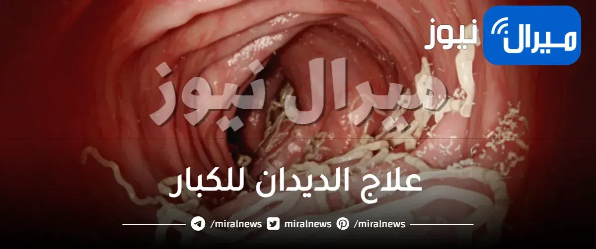 علاج الديدان للكبار