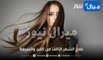 علاج الشعر التالف من الفرد والصبغة