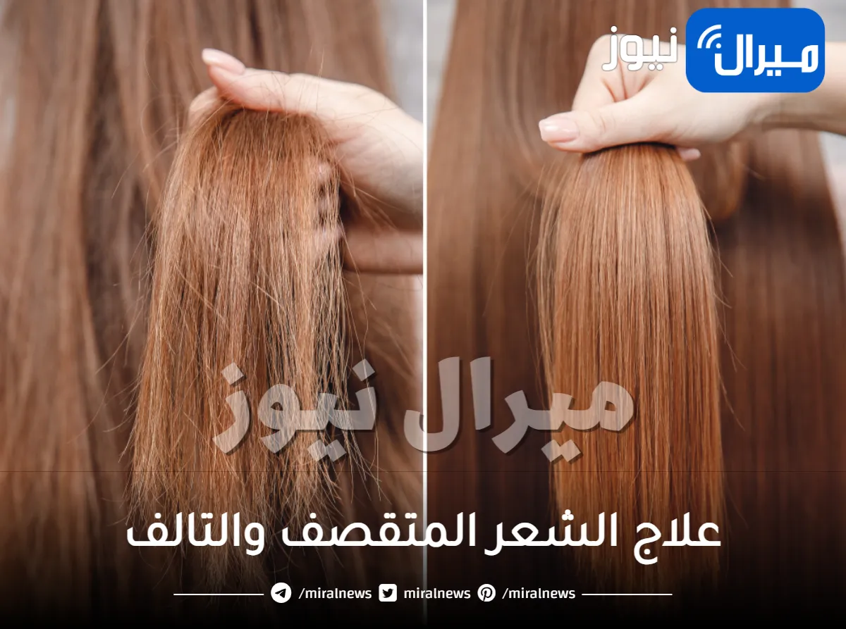 علاج الشعر المتقصف والتالف