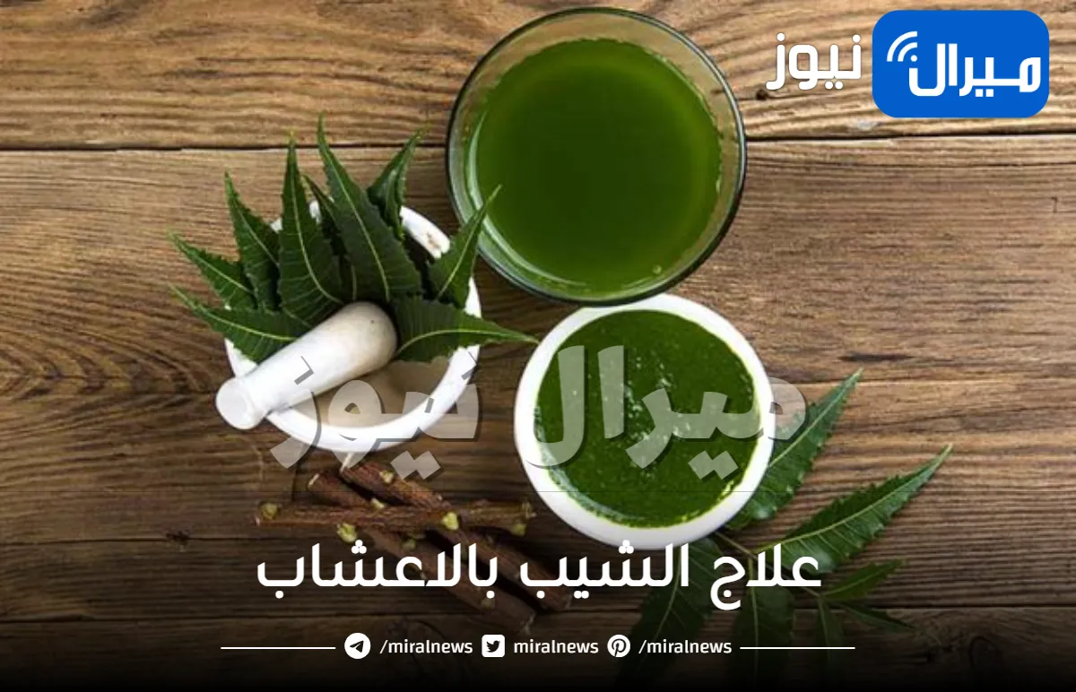 علاج الشيب نهائيا بالاعشاب