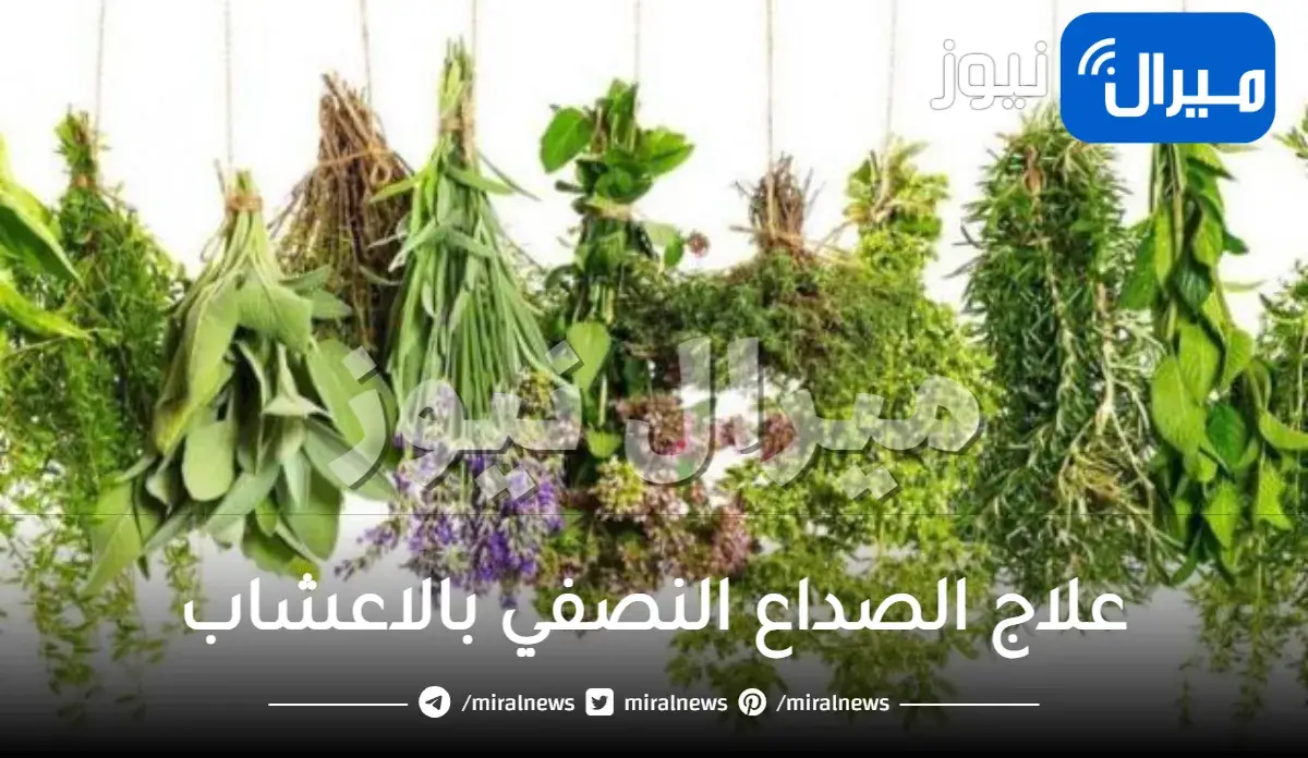 علاج الصداع النصفي بالاعشاب