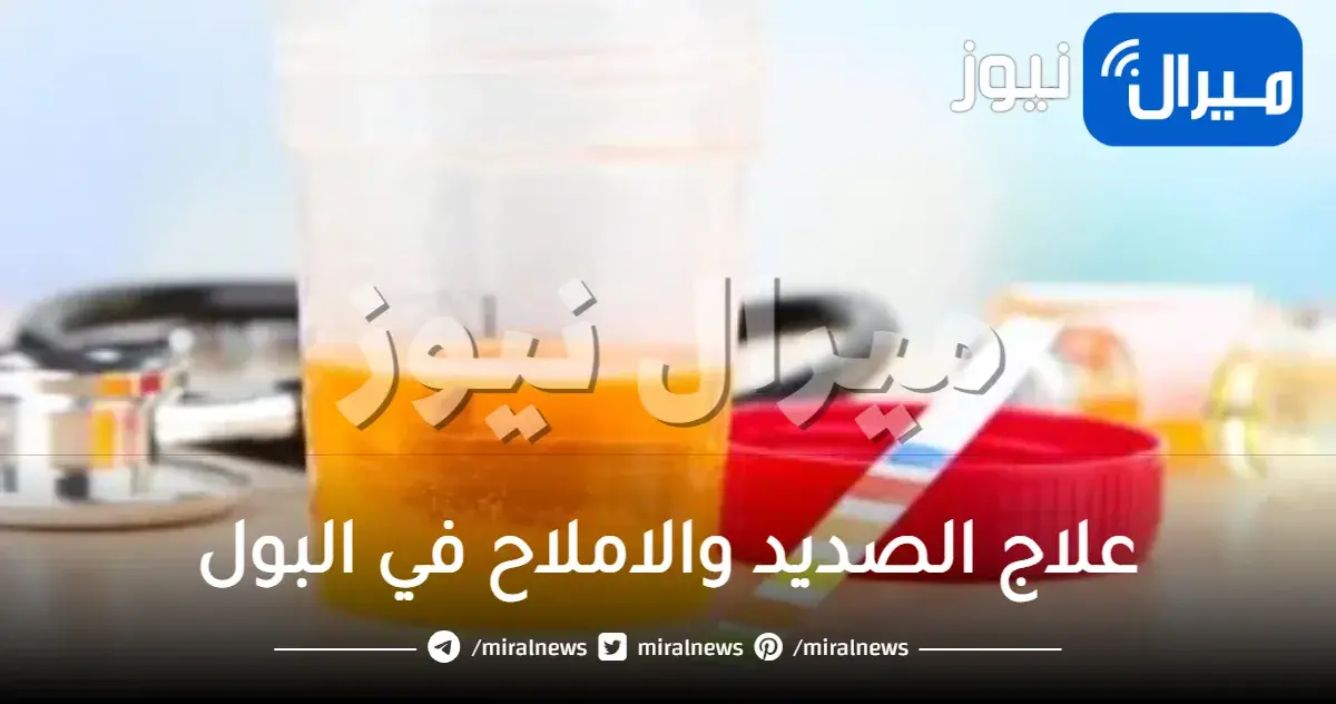 علاج الصديد والاملاح في البول