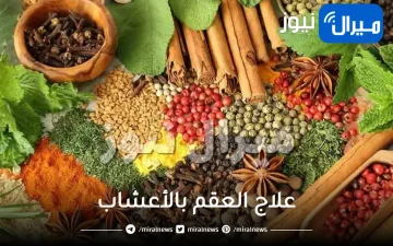 علاج العقم بالأعشاب دون الحاجة للذهاب إلى الطبيب مجربة ومضمونة 70%