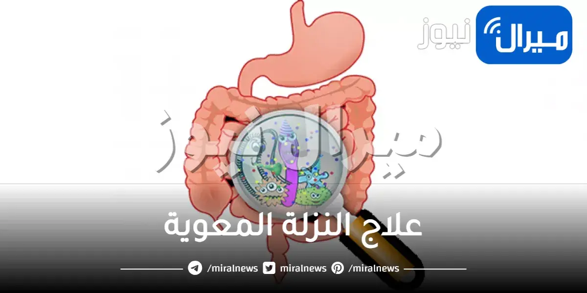 علاج النزلة المعوية