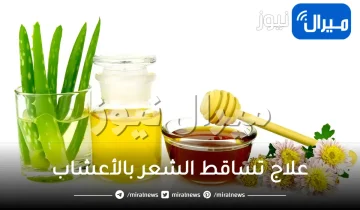 10 أعشاب لعلاج تساقط الشعر