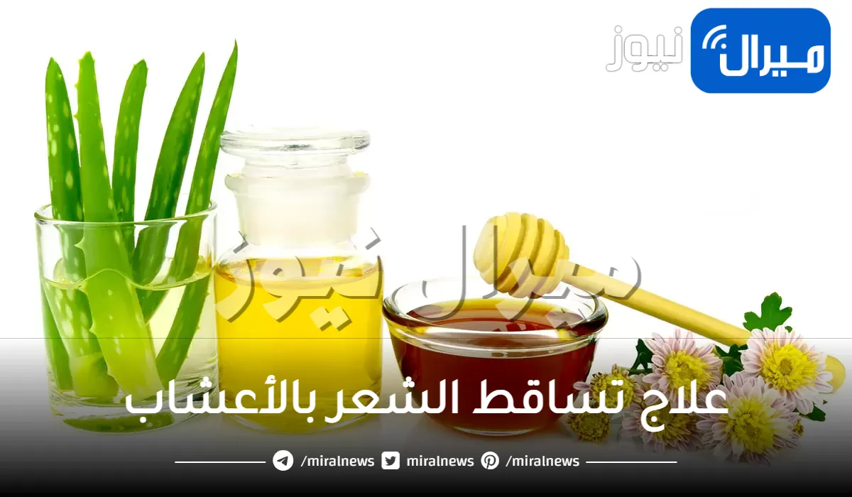 10 أعشاب لعلاج تساقط الشعر