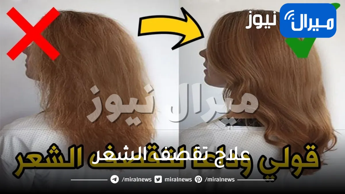 افضل 10 طرق لعلاج الشعر المتقصف والجاف