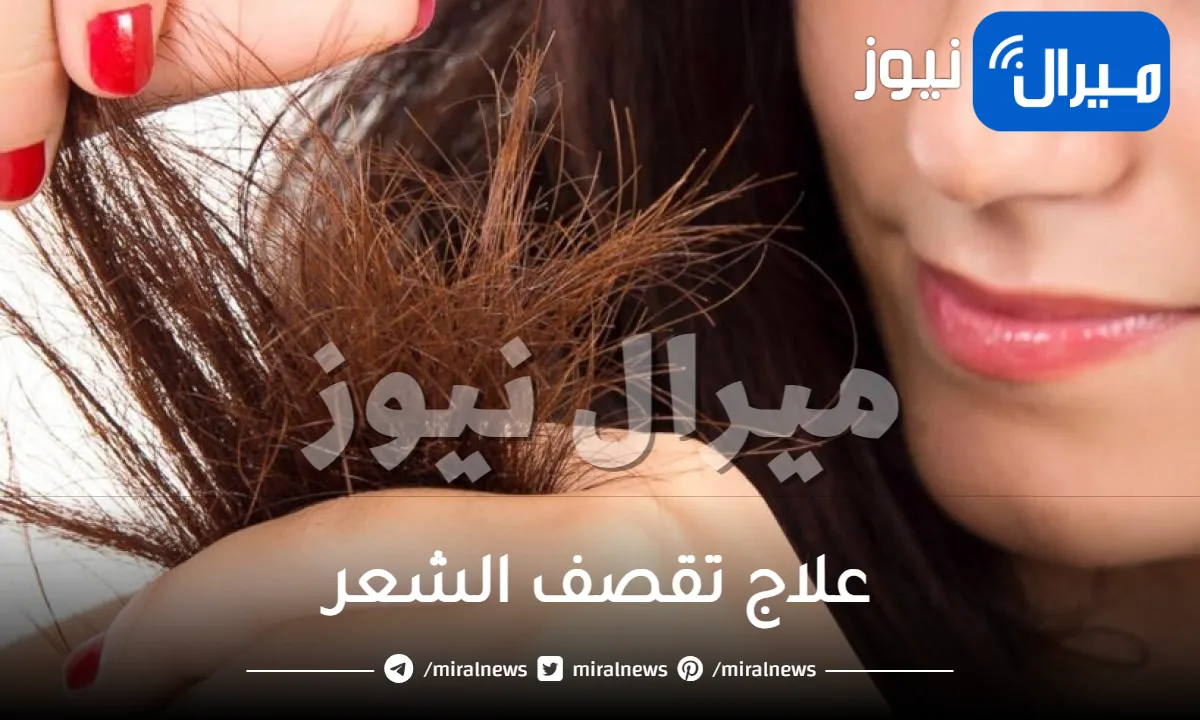 علاج تقصف الشعر بدون قص ..كيف تعالج تقصف الشعر دون قصه