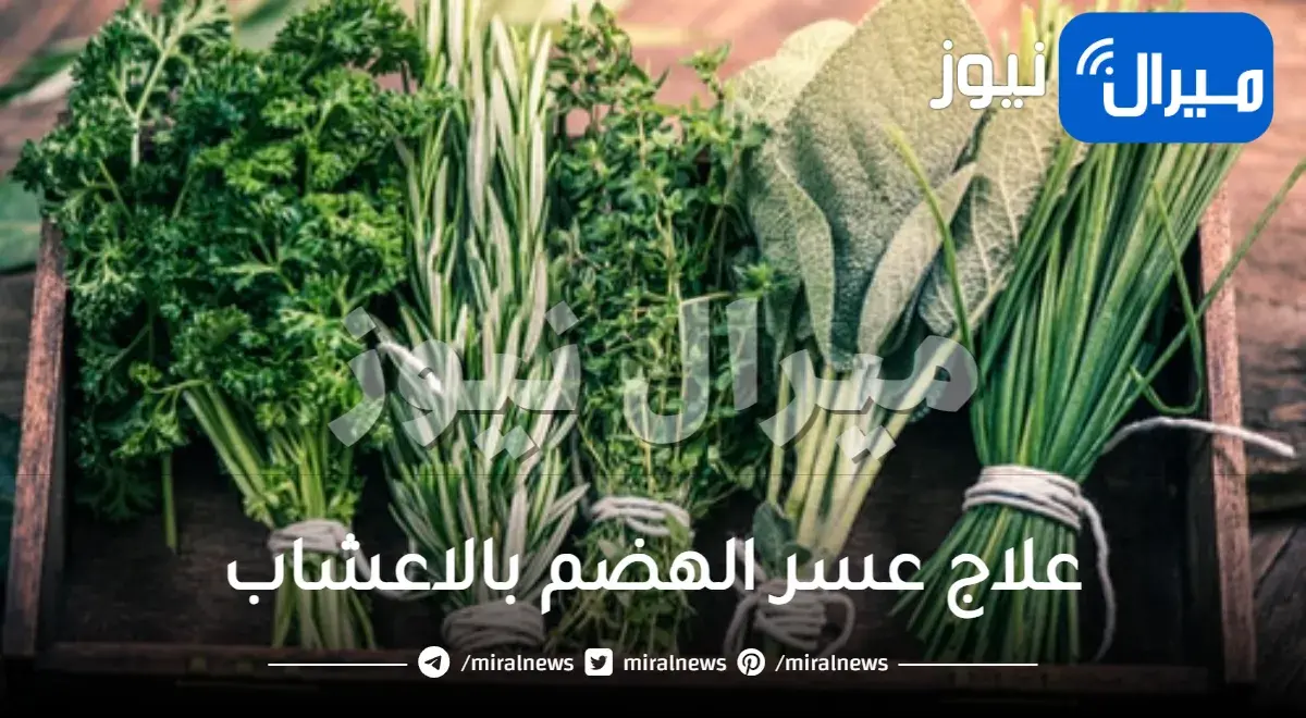 علاج عسر الهضم بالاعشاب