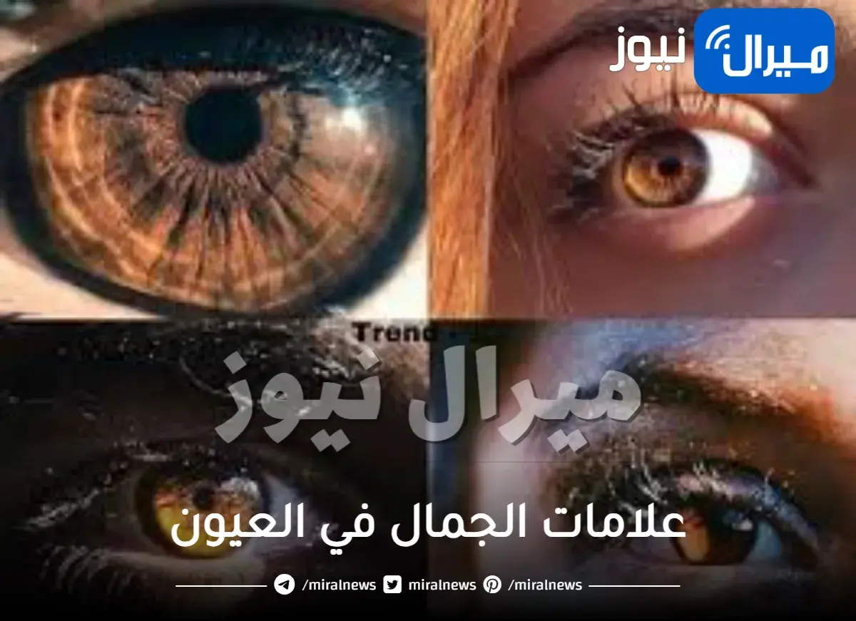 أبرز علامات الجمال في العيون الواسعة والصغيرة للنساء 7 علامات تعرف عليها