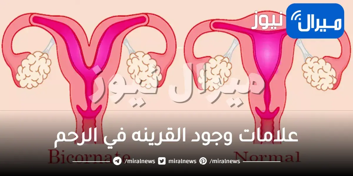 علامات وجود القرينه في الرحم وتجربتي مع قرينة الرحم وعلاجها