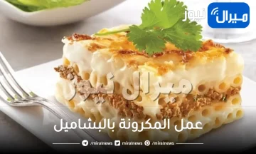 طرق سهلة ولذيذة لعمل المكرونة بالبشاميل