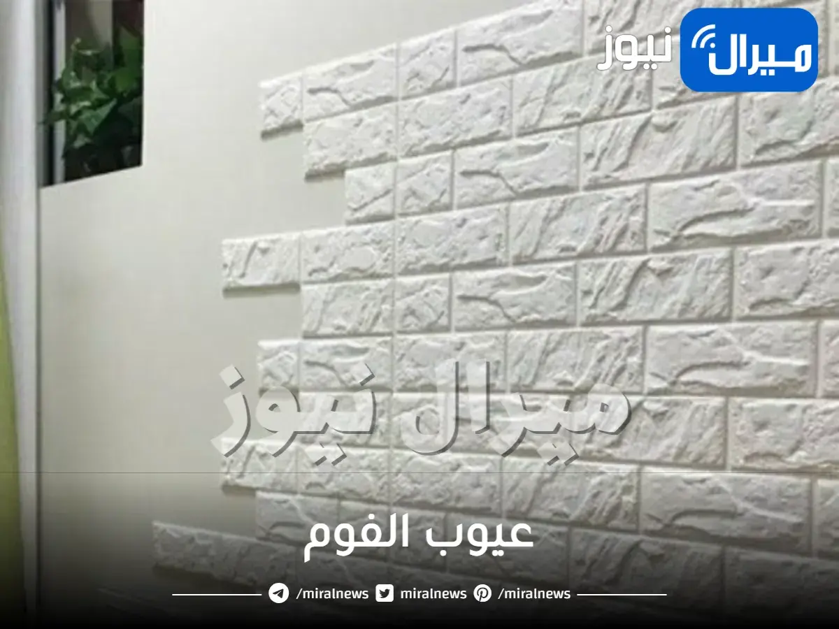 عيوب الفوم