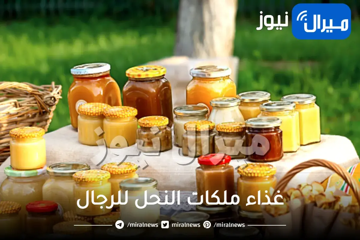 غذاء ملكات النحل للرجال