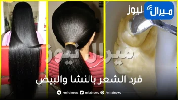 طريقة فرد الشعر بالنشا والبيض