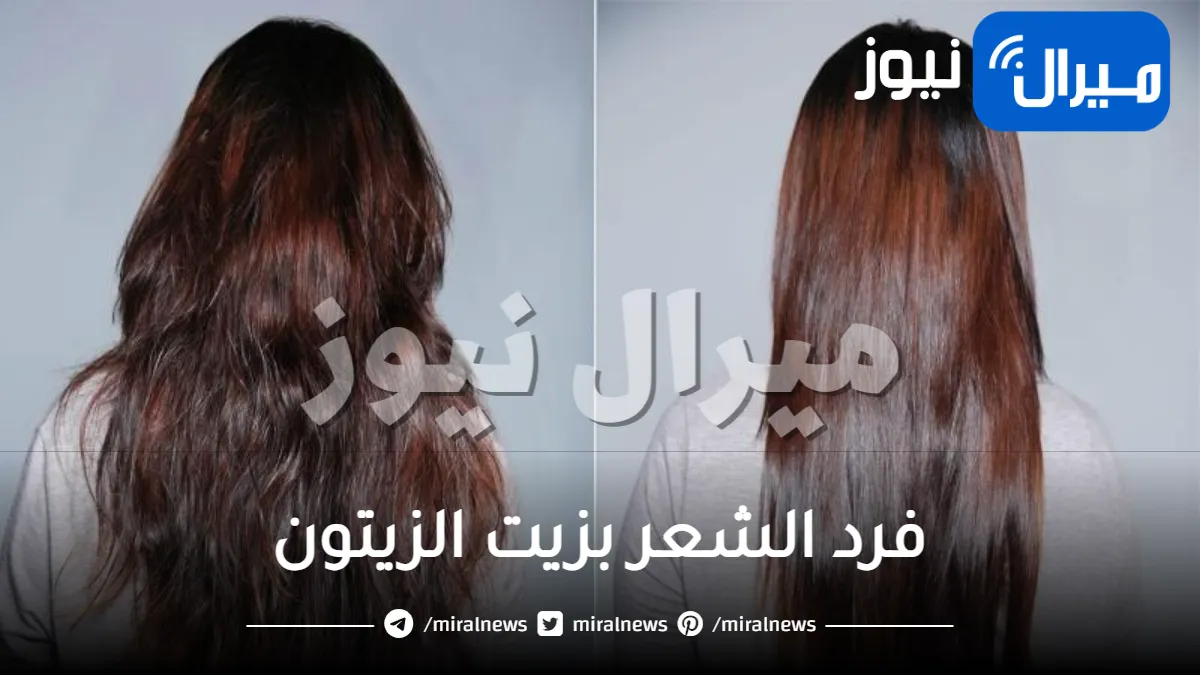 طرق فرد الشعر بزيت الزيتون