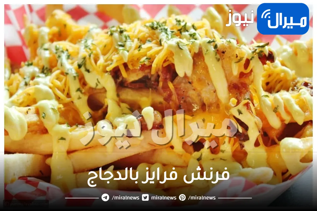 فرنش فرايز بالدجاج