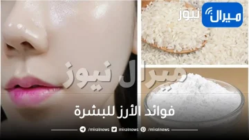 استخدمي قناع الأرز وقولي وداعاً للتجاعيد..فوائد الأرز للبشرة ووصفاته الطبيعية