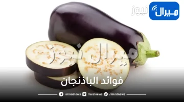 27 فائدة من فوائد الباذنجان للبشرة و الشعر والصحة