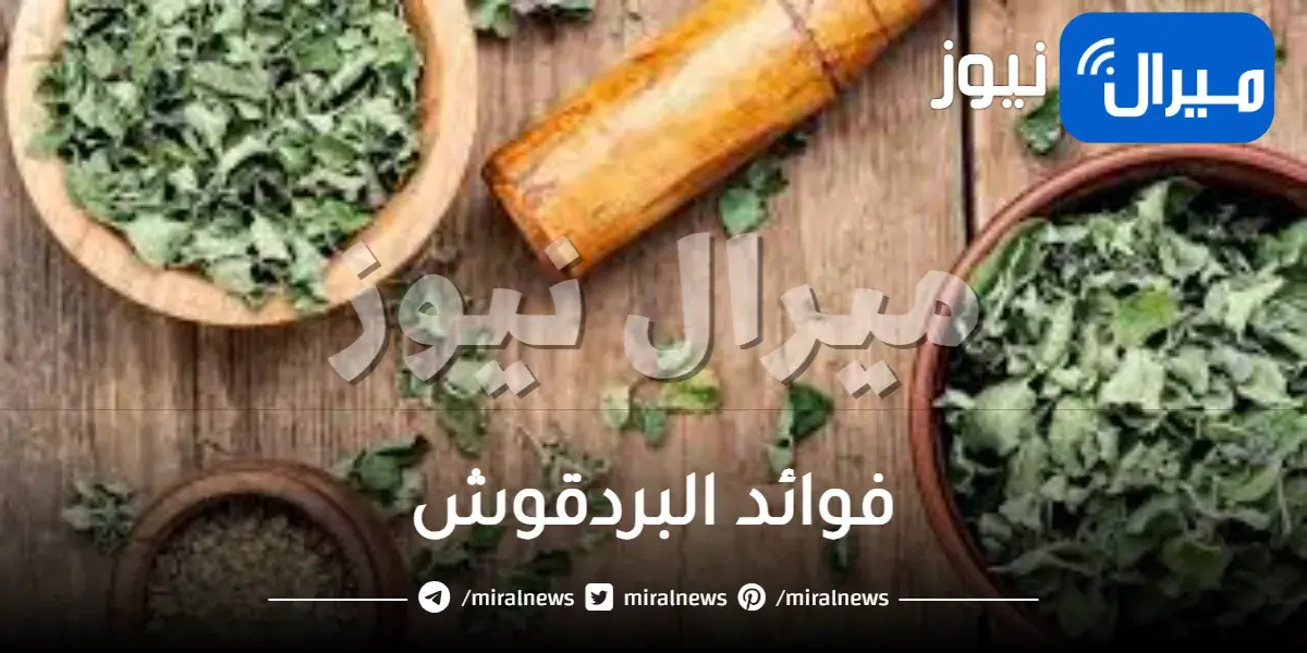 فوائد البردقوش