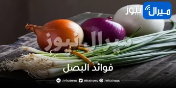 15 فائدة من فوائد البصل للشعر والصحة