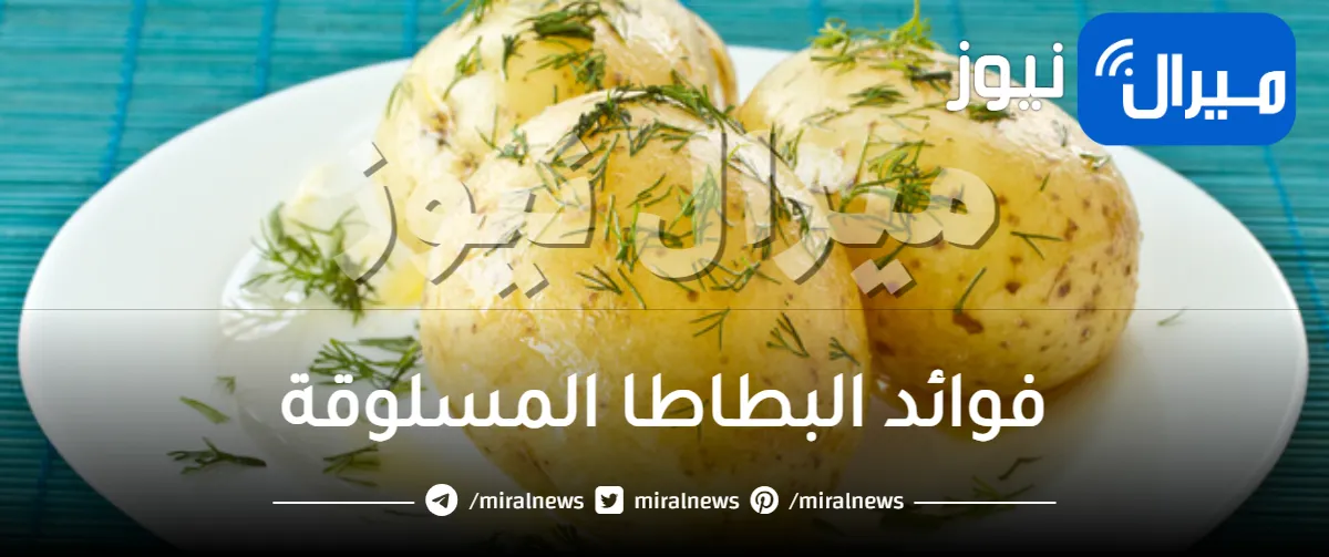 فوائد البطاطا المسلوقة للرجيم وللمعدة وللاعبي كمال الاجسام