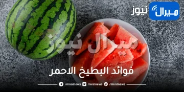 ماهي فوائد البطيخ الاحمر
