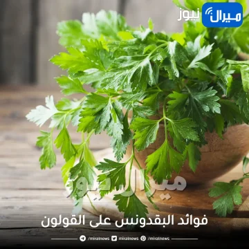 فوائد البقدونس على القولون