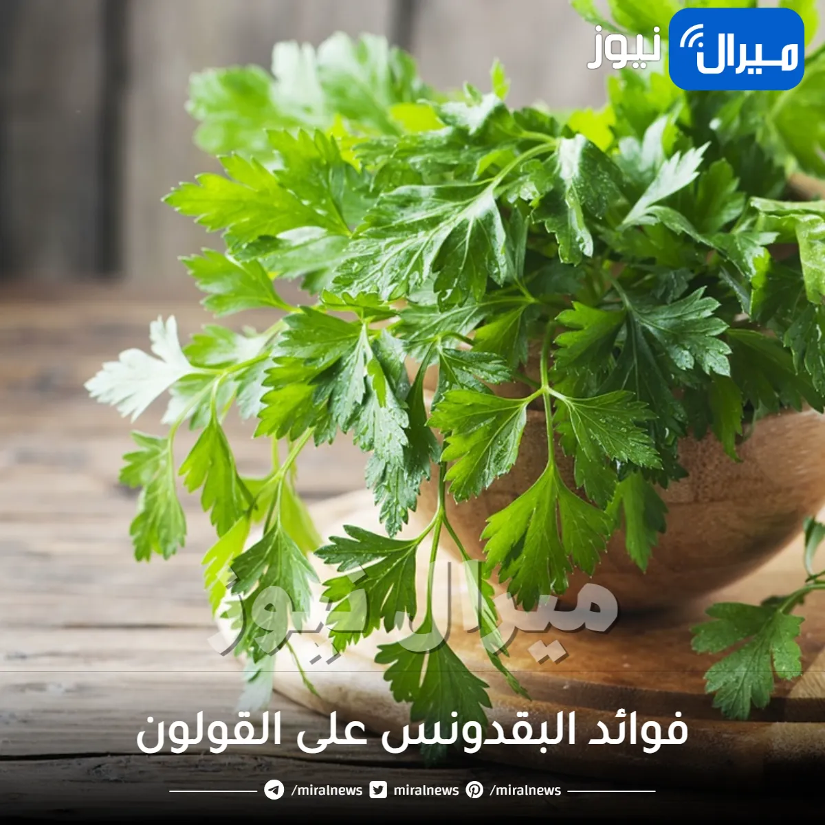 فوائد البقدونس على القولون