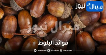 أهم فوائد البلوط الصحية المختلفة