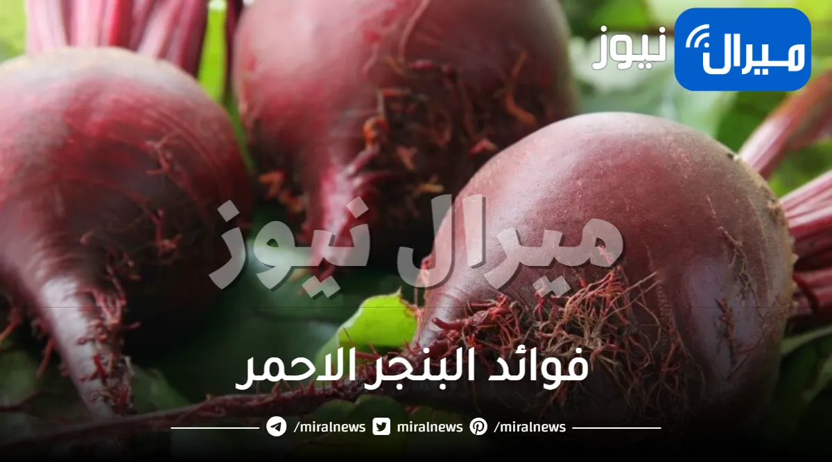 فوائد البنجر الاحمر وطرق استخدامه