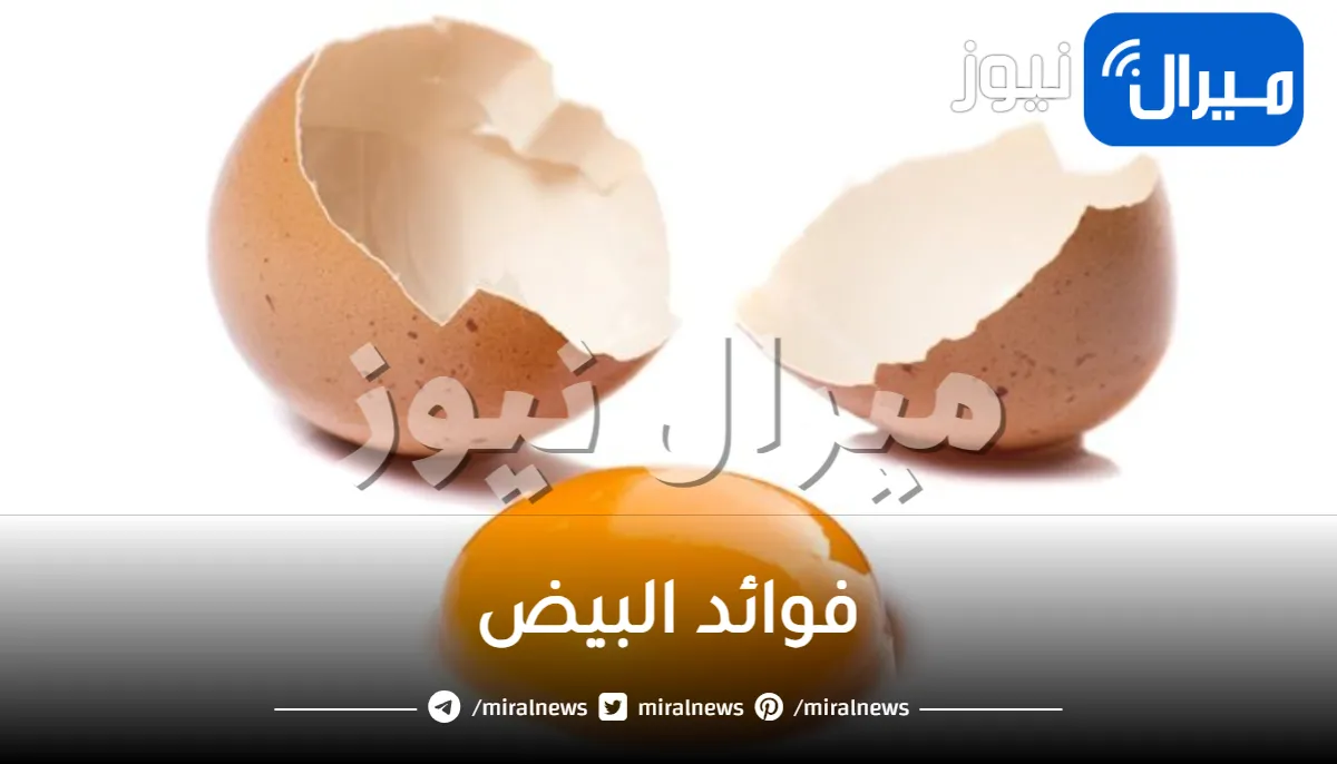 29 فائدة من فوائد البيض للشعر والبشرة والصحة