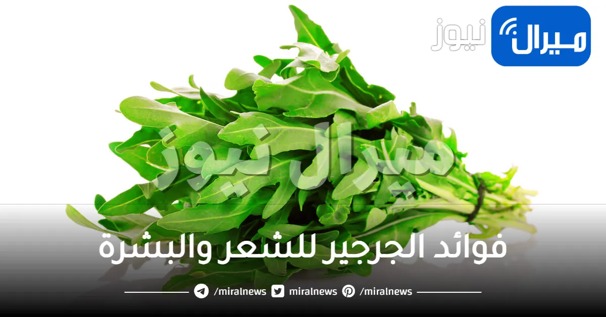 فوائد الجرجير للشعر والبشرة وصحة الانسان