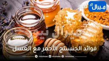 فوائد الجنسنج الأحمر مع العسل