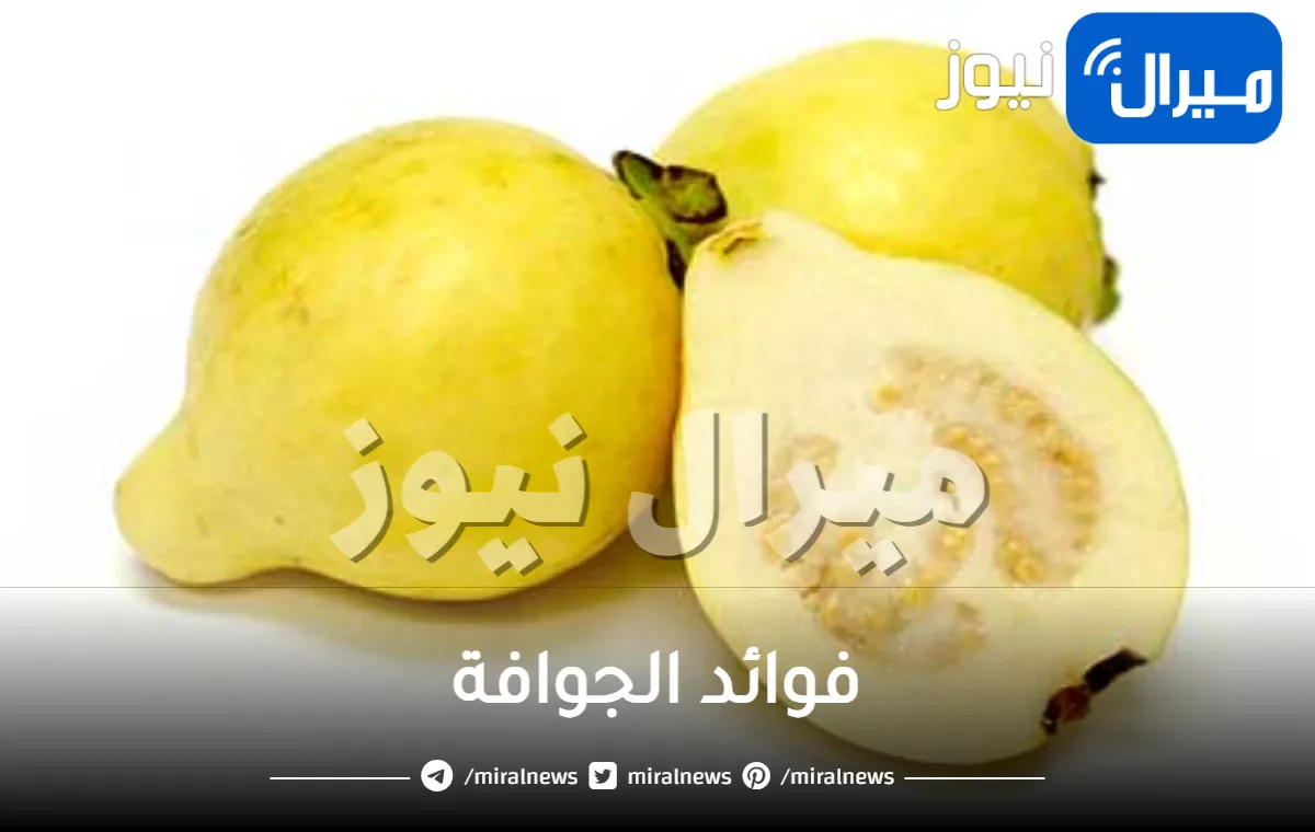 23 فائدة من فوائد الجوافة الصحية والجمالية