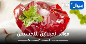 فوائد الجيلاتين للتخسيس تجعلك تضيفه في أكلك